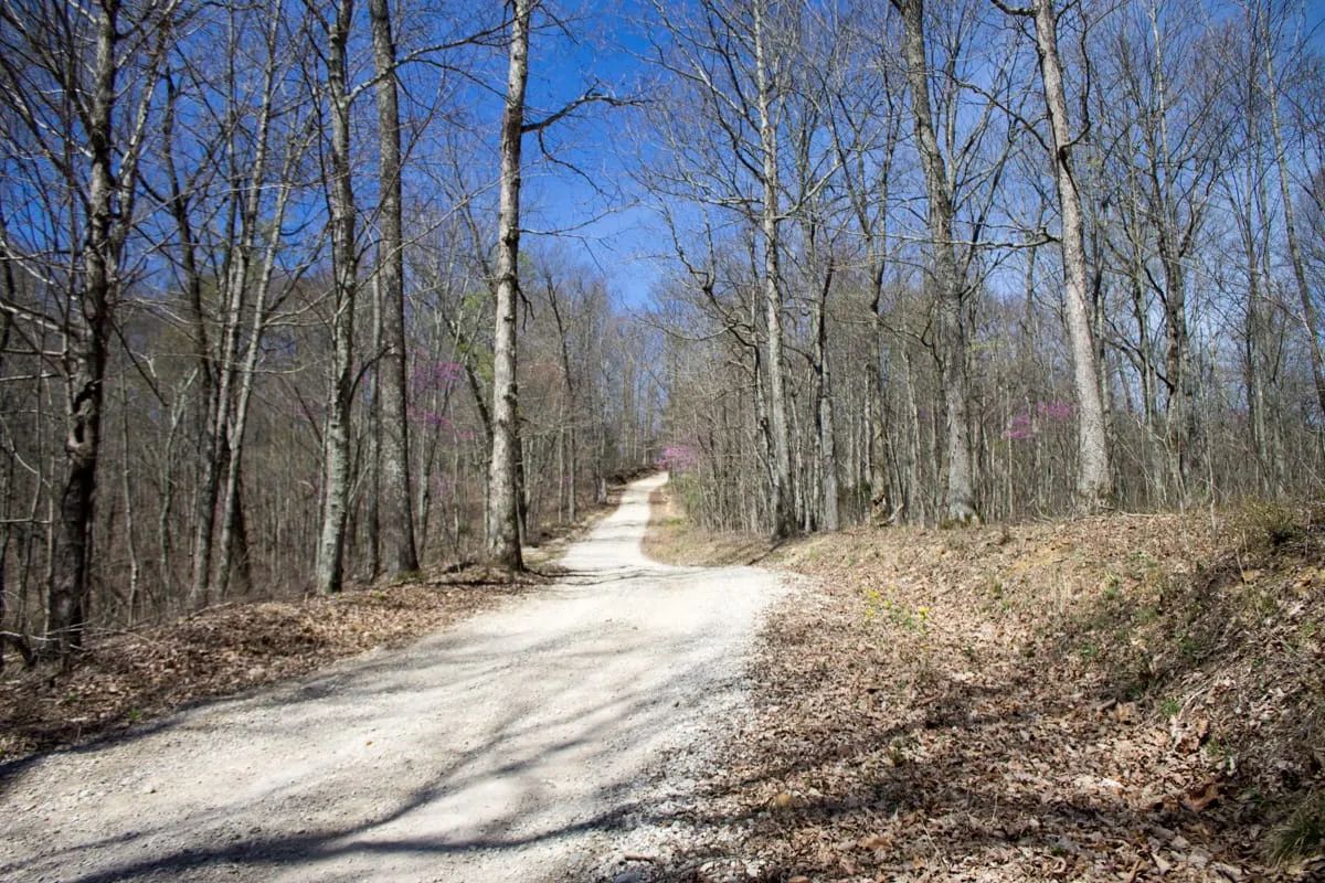 Chestnut Oak Ridge Tract 29 - Image 3