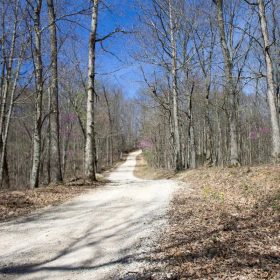 Chestnut Oak Ridge Tract 29 in Rockcastle County, KY