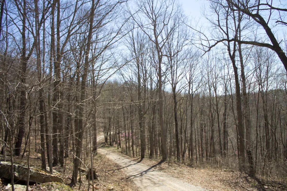 Chestnut Oak Ridge Tract 29 in Rockcastle County, KY