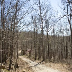 Chestnut Oak Ridge Tract 29 in Rockcastle County, KY
