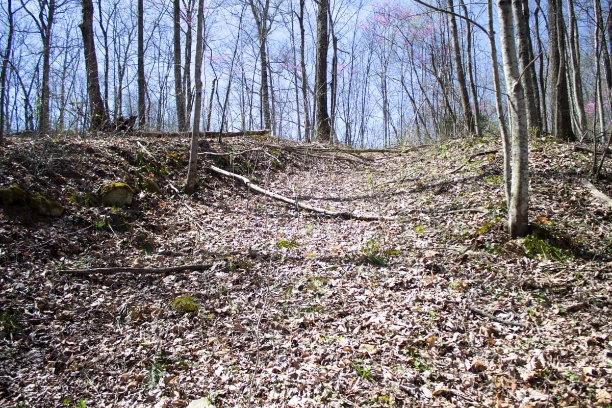 Decorative background for Chestnut Oak Ridge Tract 29 image 13