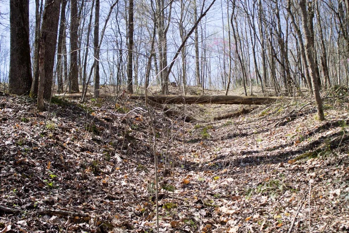 Decorative background for Chestnut Oak Ridge Tract 29 image 21