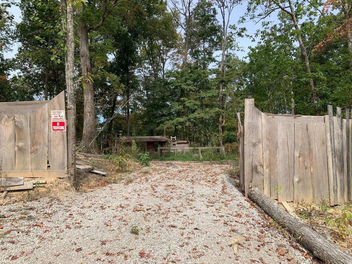Decorative background for Chestnut Oak Ridge Tract 29 image 22