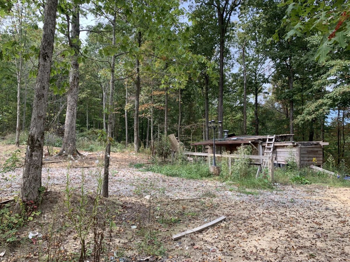 Decorative background for Chestnut Oak Ridge Tract 29 image 23