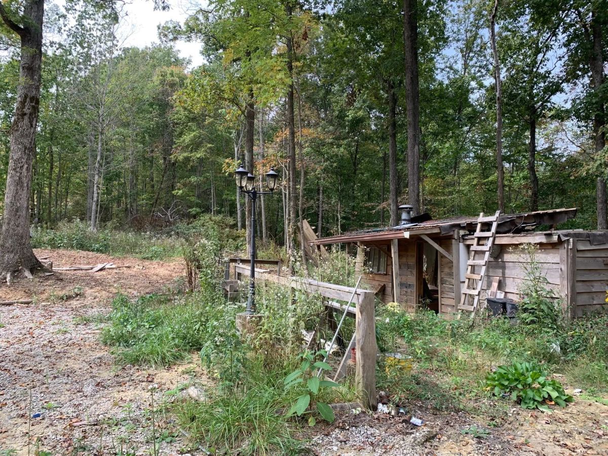 Decorative background for Chestnut Oak Ridge Tract 29 image 25