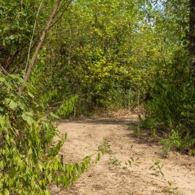 Big White Oak Tract 79 in Perry County, TN