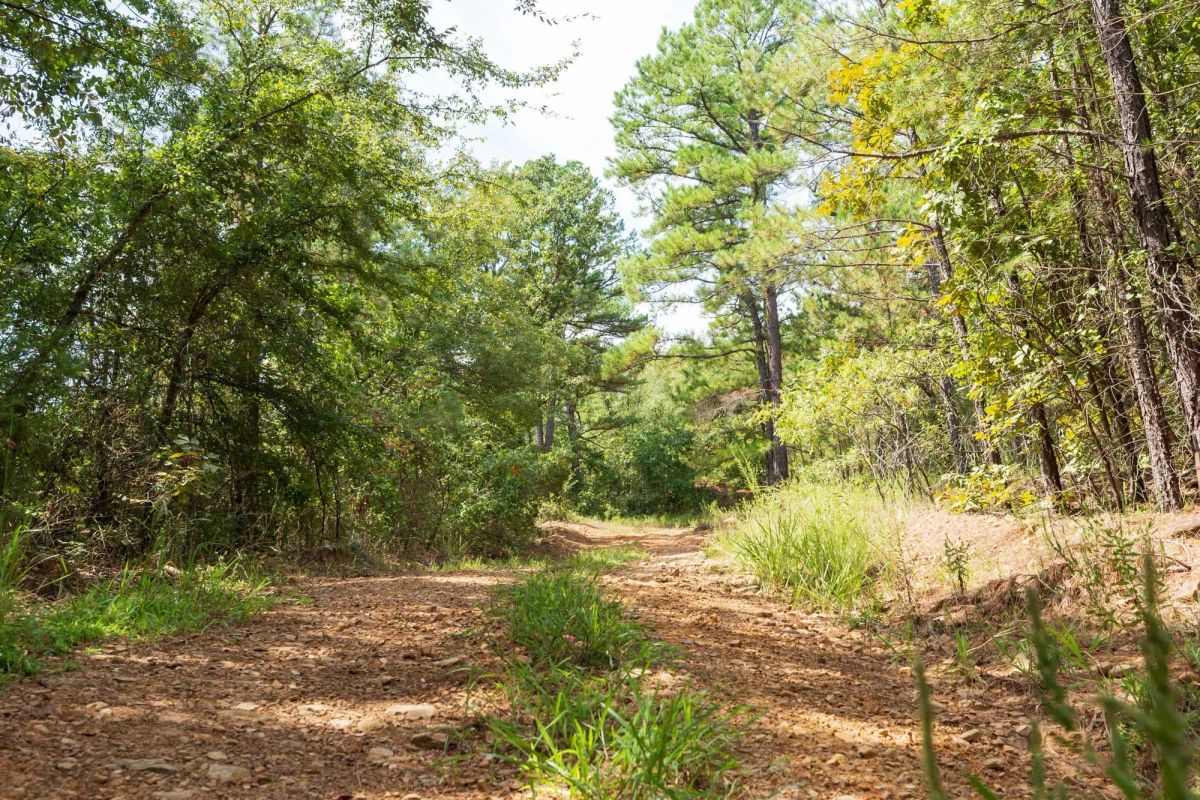 Stone Bridge Phase V Tract 379 - Main image