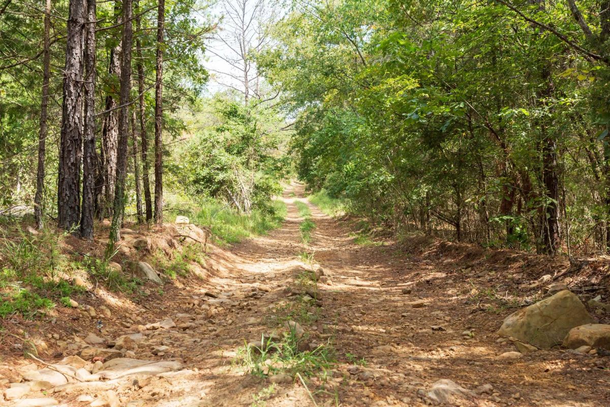 Decorative background for Stone Bridge Phase V Tract 379 image 8