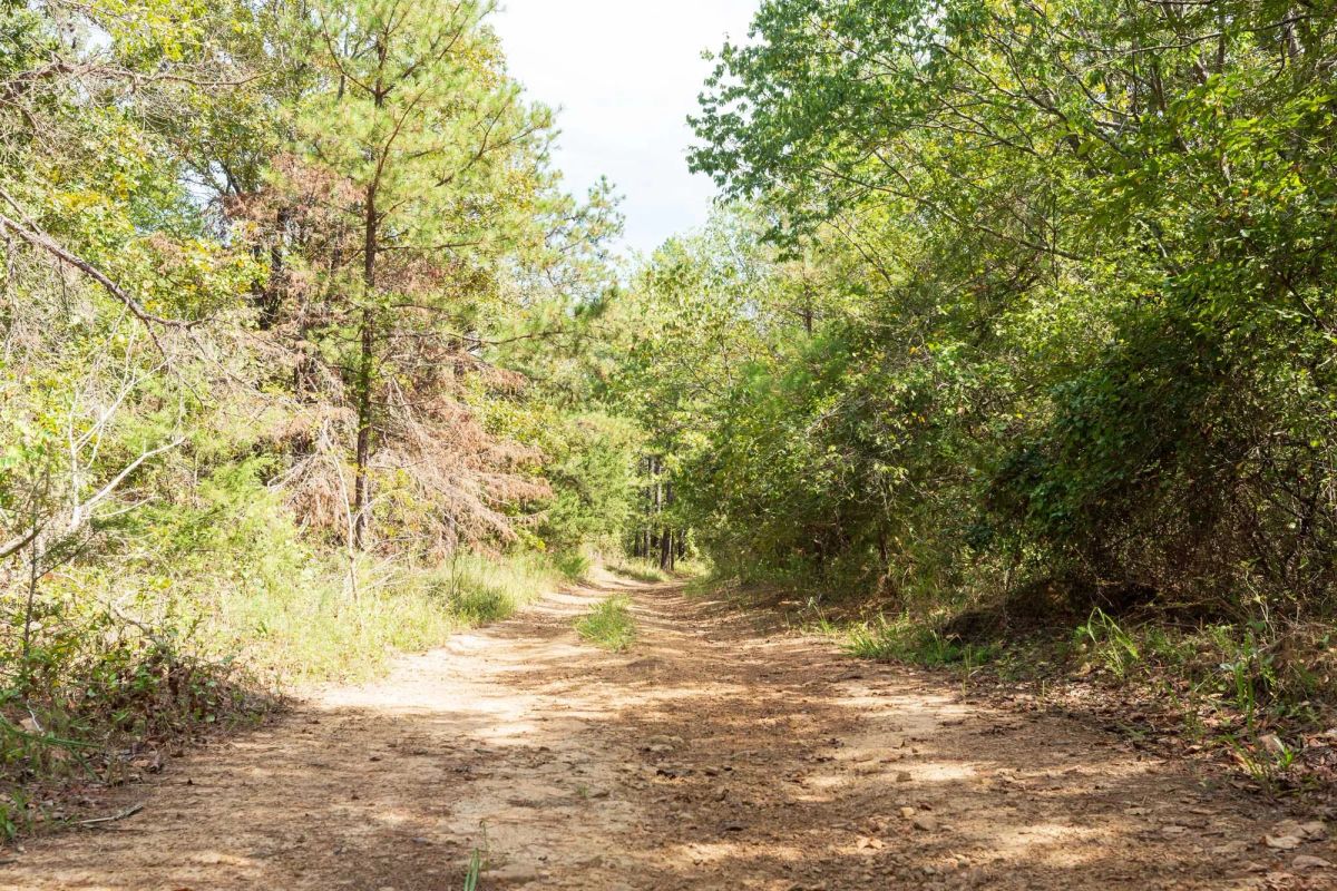 Decorative background for Stone Bridge Phase V Tract 379 image 10