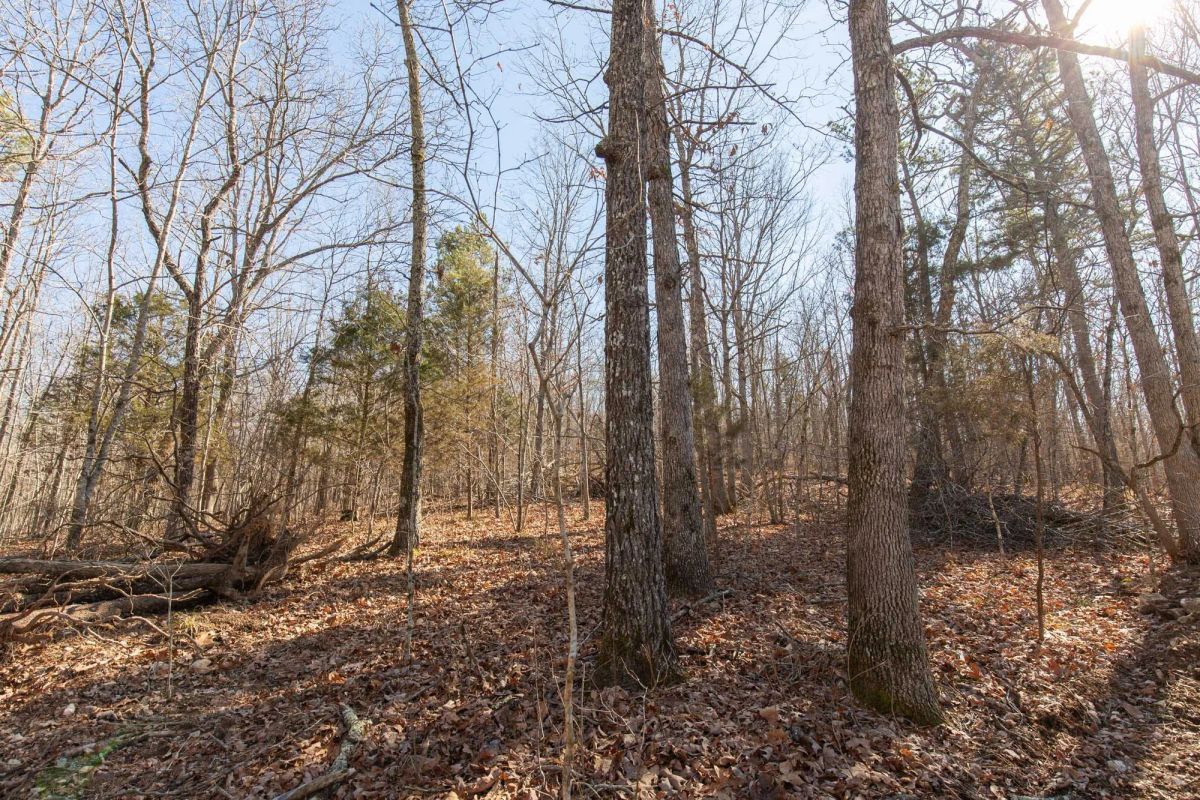 O’Connor Crossing Tract 23 - Image 3