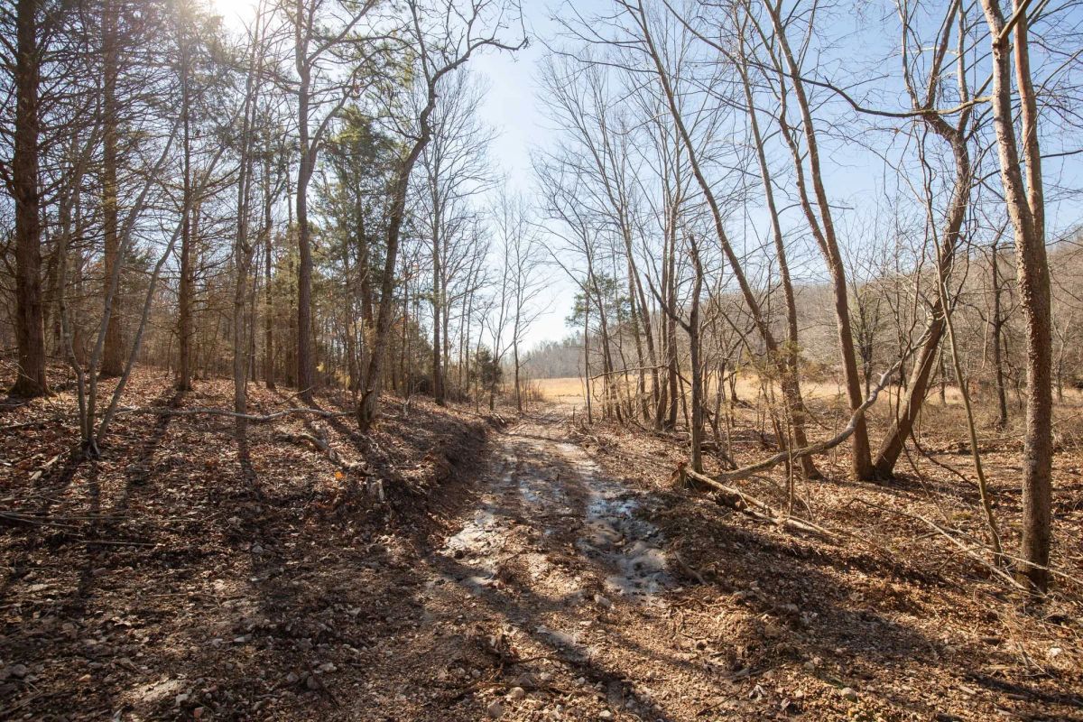 Decorative background for O’Connor Crossing Tract 23 image 6