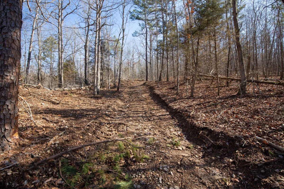Decorative background for O’Connor Crossing Tract 23 image 8