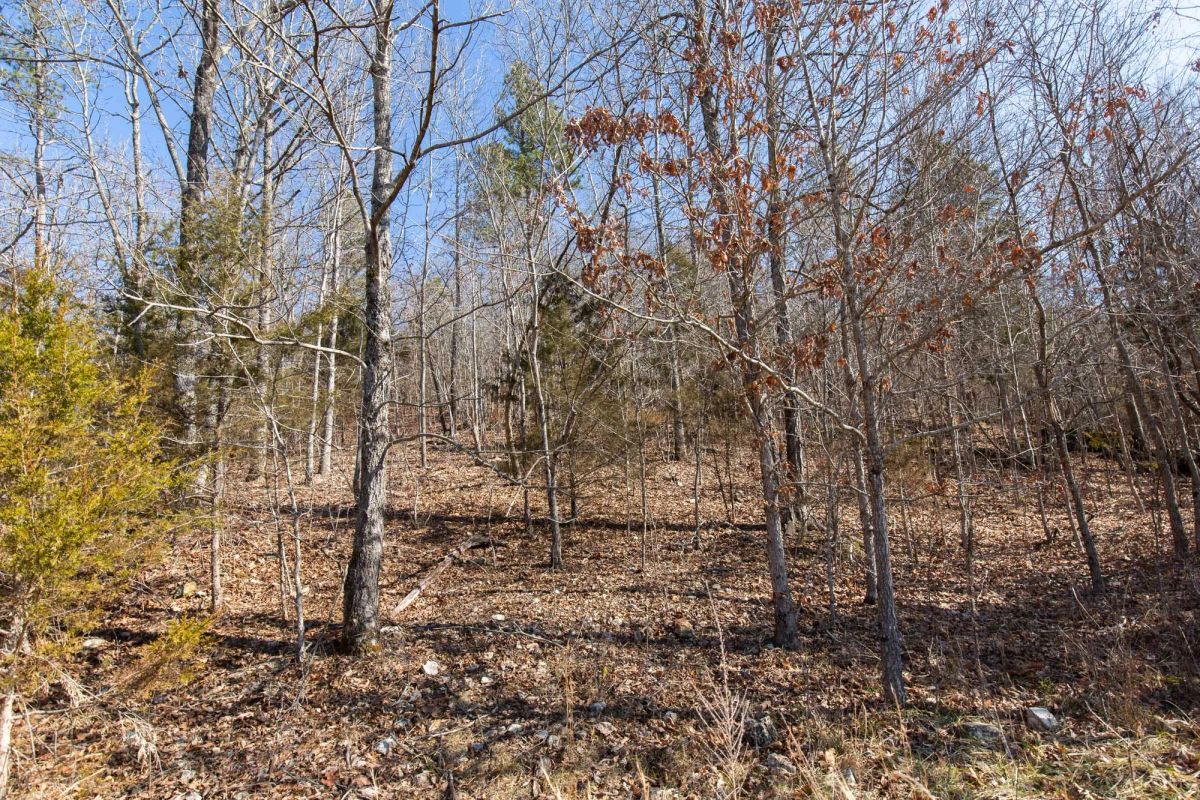 Decorative background for O’Connor Crossing Tract 23 image 9