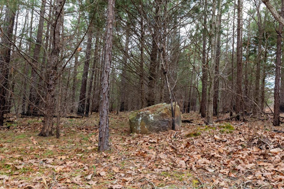 Stone Bridge Phase III Tract 219 - Image 2