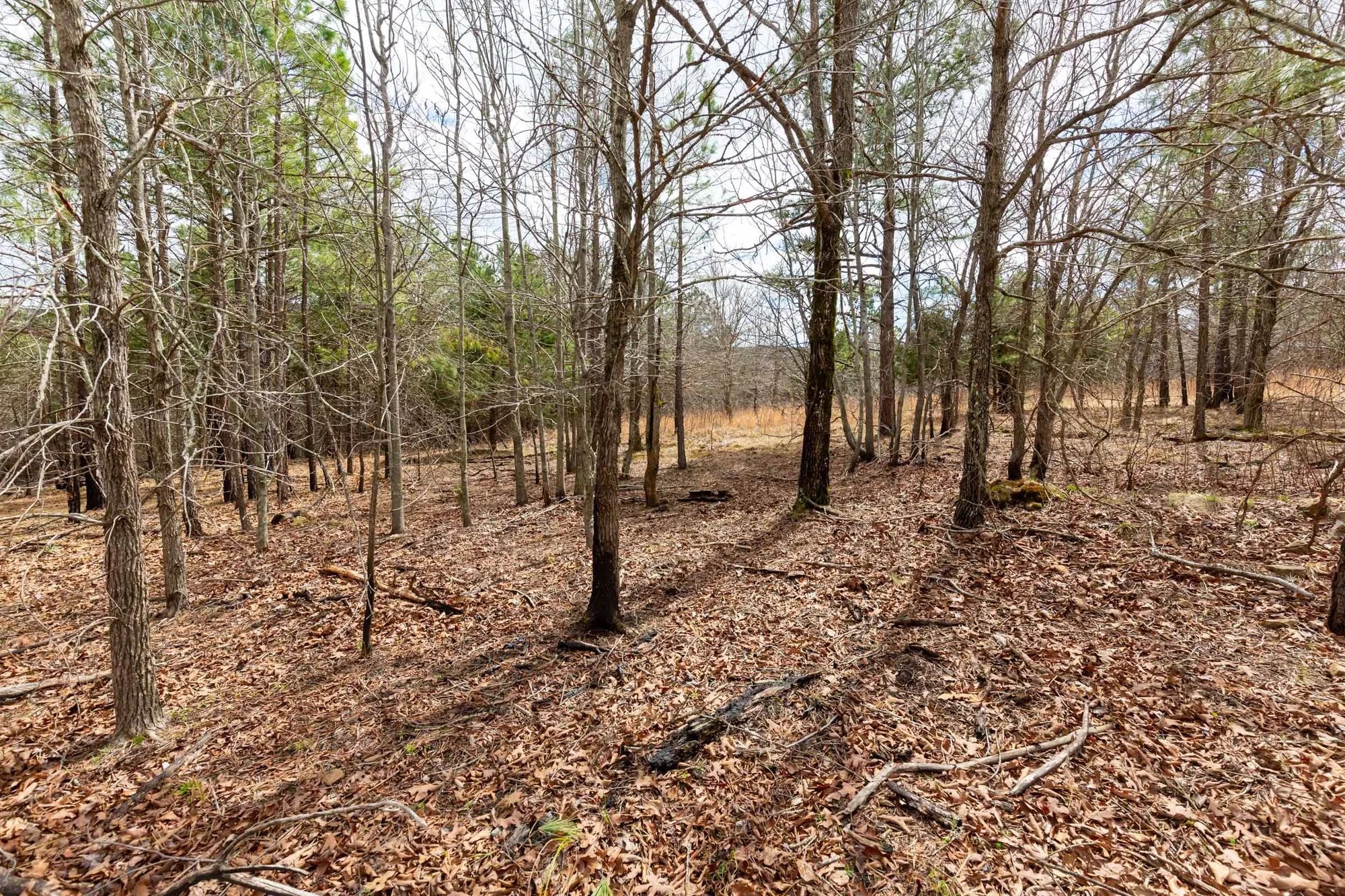 Stone Bridge Phase III Tract 219 in Latimer County, OK
