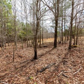 Stone Bridge Phase III Tract 219 in Latimer County, OK