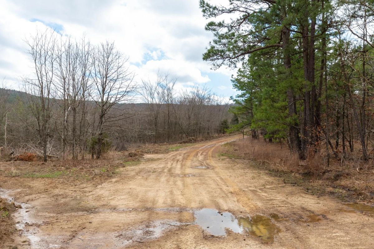 Stone Bridge Phase III Tract 219 - Image 4