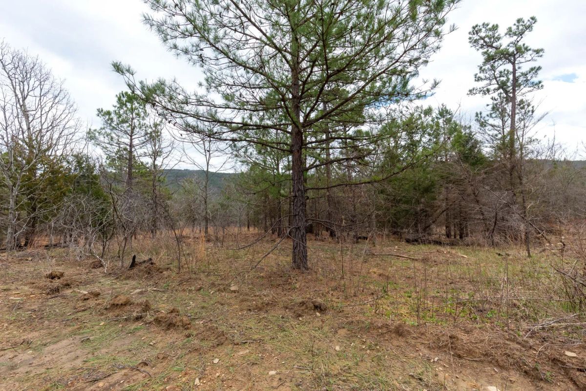 Decorative background for Stone Bridge Phase III Tract 219 image 6