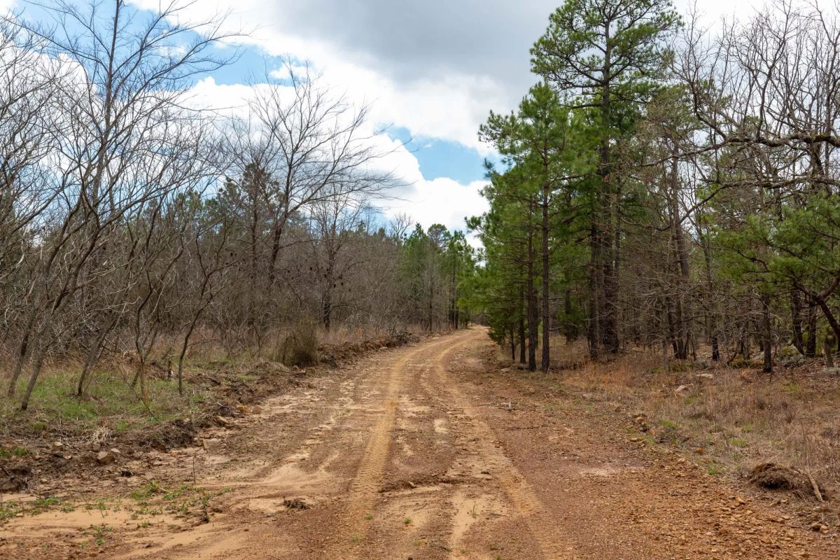Decorative background for Stone Bridge Phase III Tract 219 image 7
