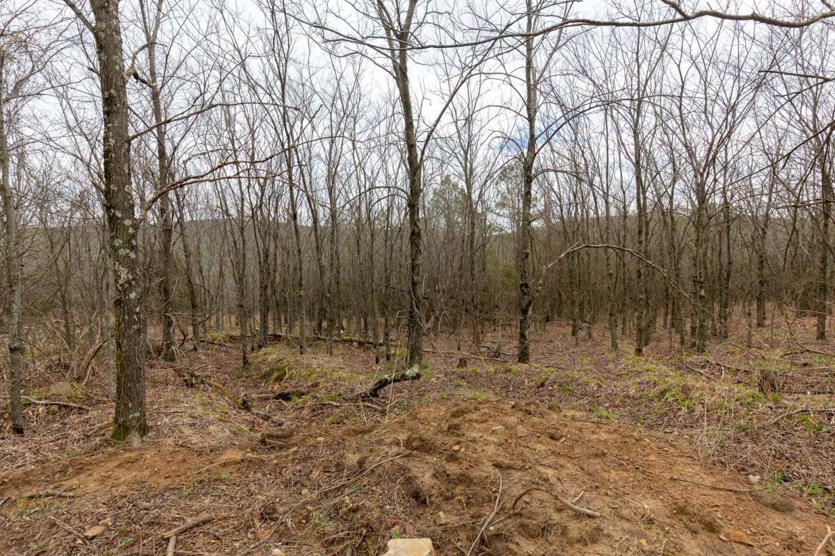 Decorative background for Stone Bridge Phase III Tract 219 image 8