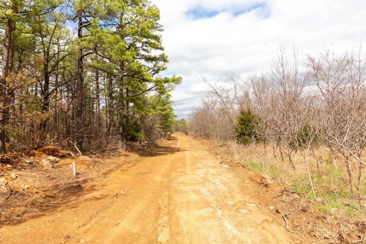 Decorative background for Stone Bridge Phase III Tract 219 image 10