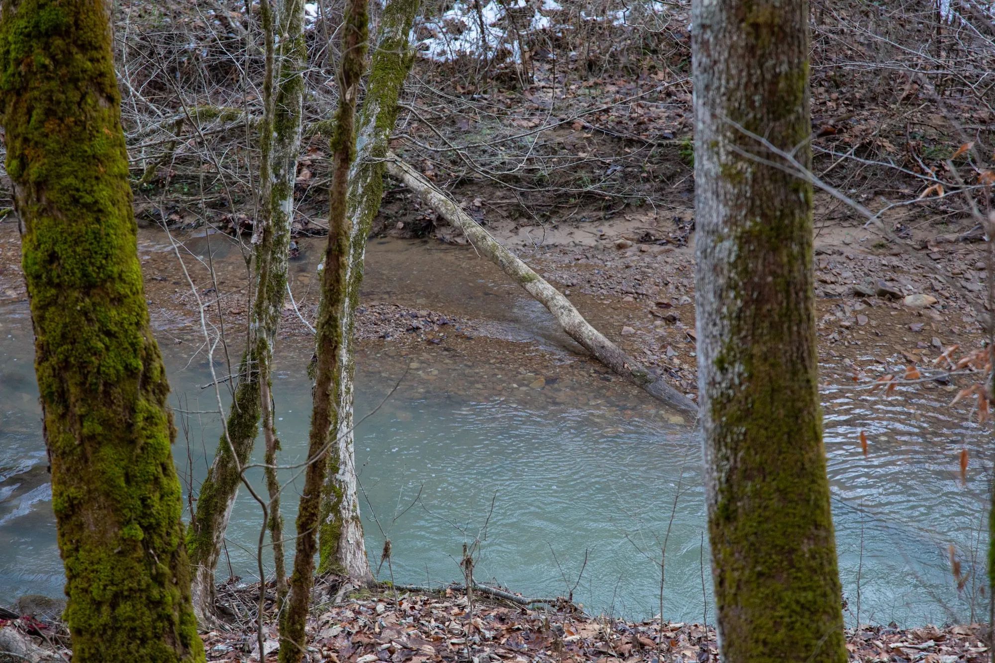 Blackstone Mountain Phase I Tract 7 in Clay County, KY