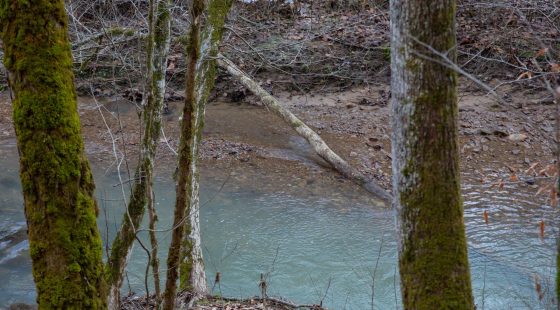 Blackstone Mountain Phase I Tract 7 in Clay County, KY