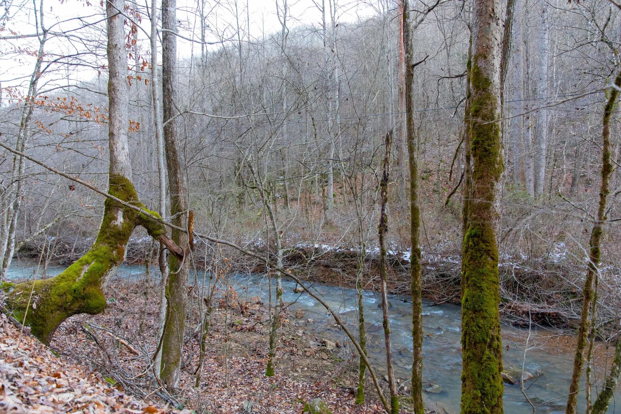 Blackstone Mountain Phase I Tract 7 in Clay County, KY