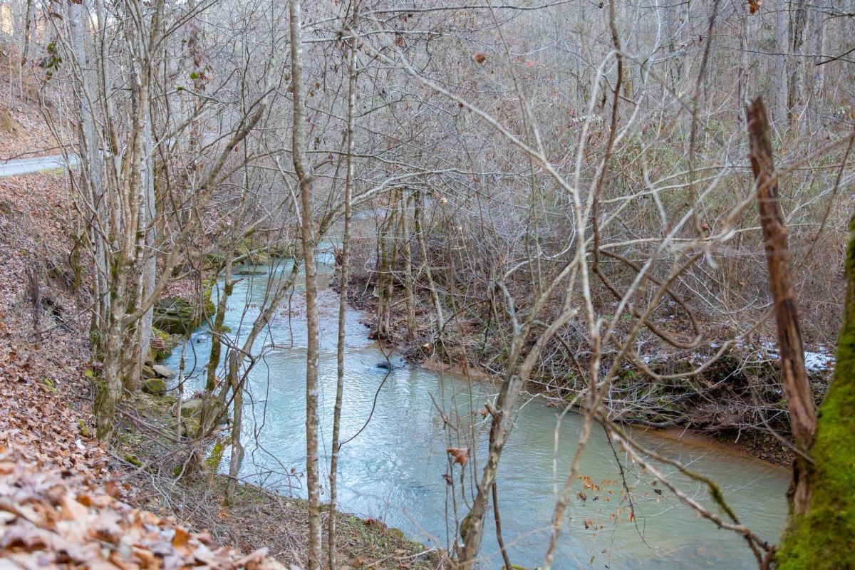 Decorative background for Blackstone Mountain Phase I Tract 7 image 6