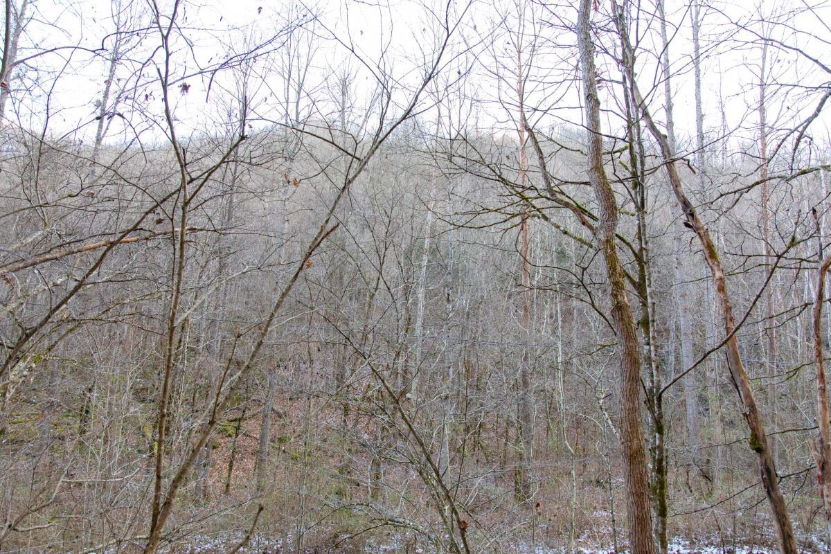 Decorative background for Blackstone Mountain Phase I Tract 7 image 7