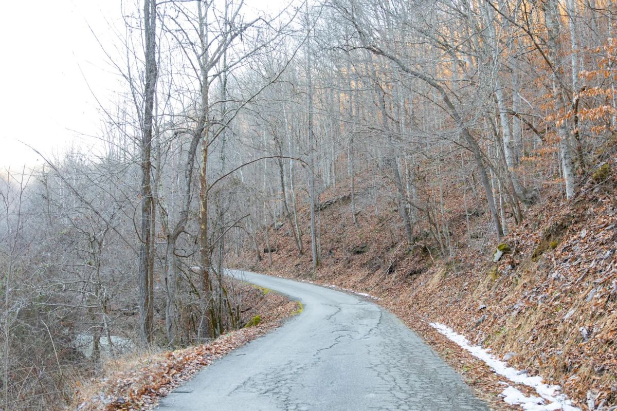 Decorative background for Blackstone Mountain Phase I Tract 7 image 8