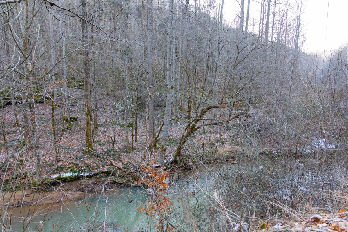 Decorative background for Blackstone Mountain Phase I Tract 7 image 9