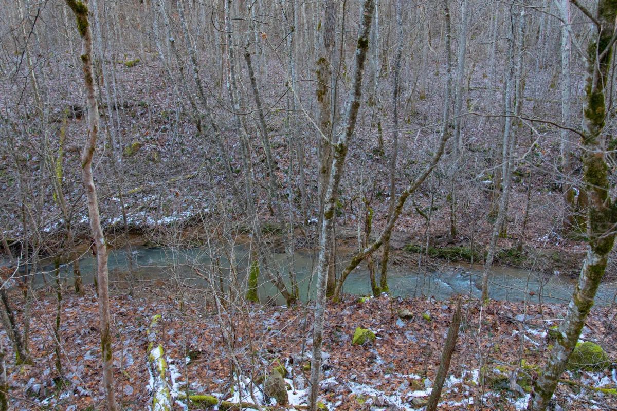 Decorative background for Blackstone Mountain Phase I Tract 7 image 11