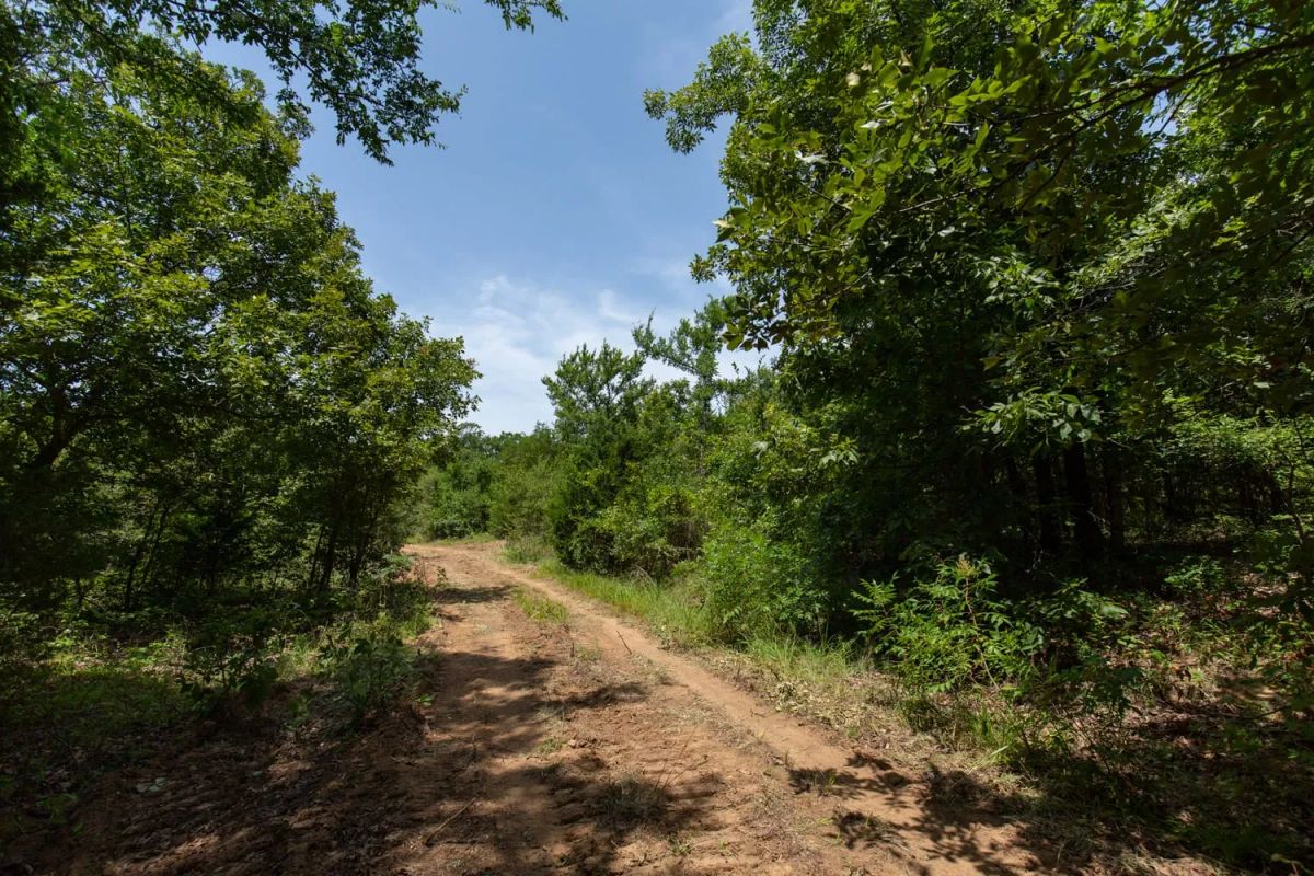 Timber Ridge Tract 52 - Image 4