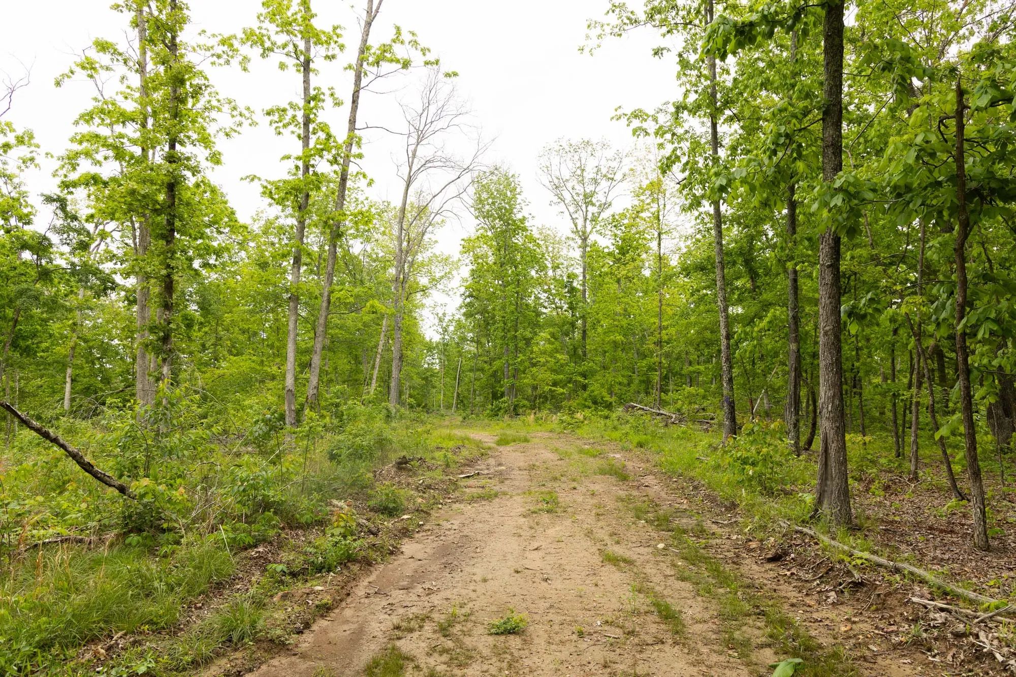 Stardust Estates Tract 18 in Reynolds County, MO