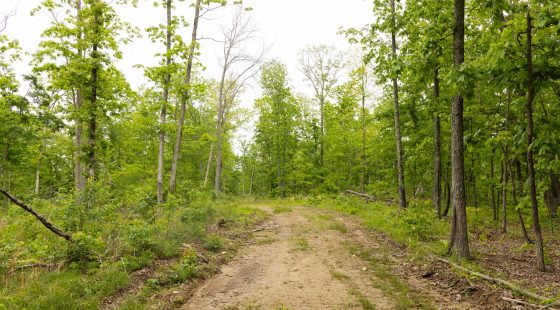 Stardust Estates Tract 18 in Reynolds County, MO