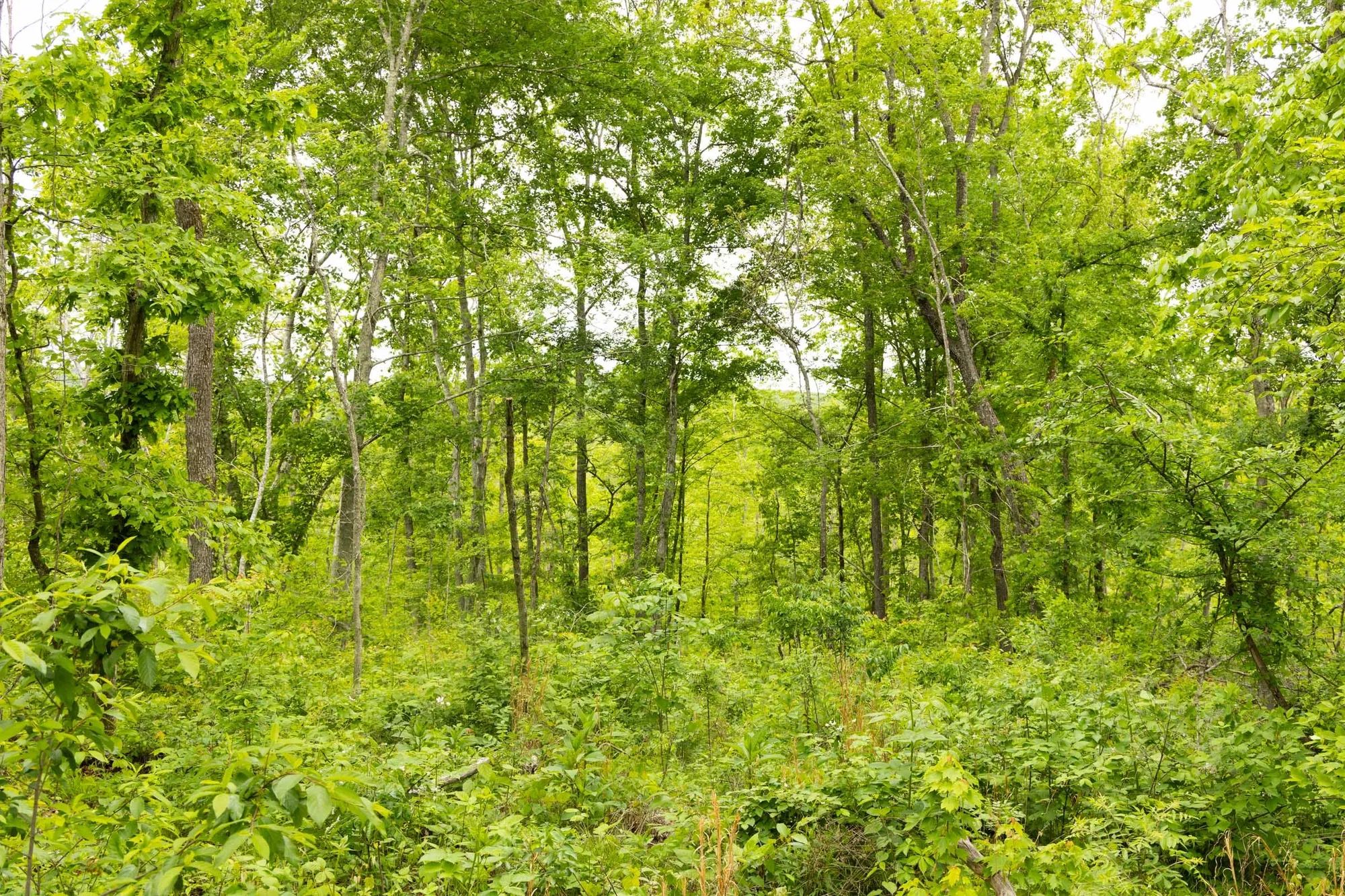 Stardust Estates Tract 18 in Reynolds County, MO