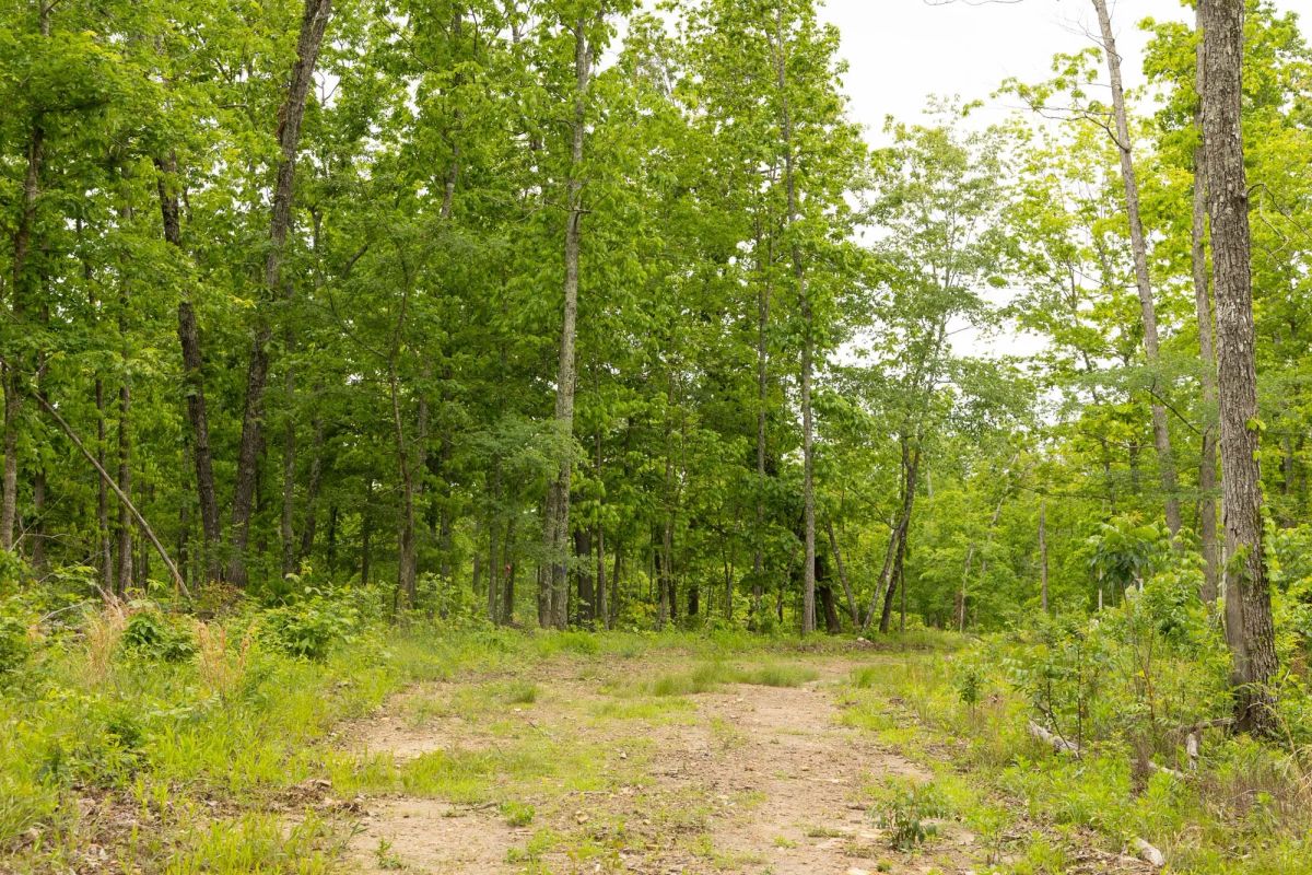 Decorative background for Stardust Estates Tract 18 image 7