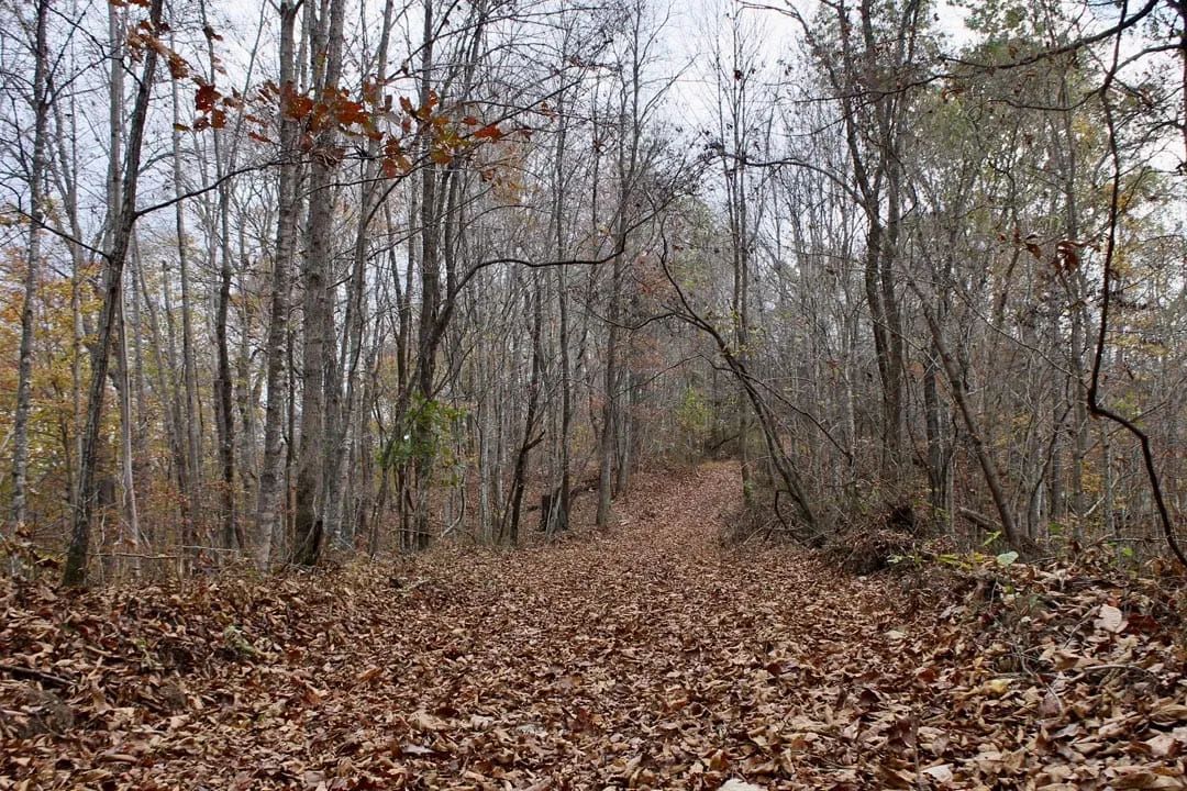 Autumn Ridge Tract 22 in Leslie County, KY