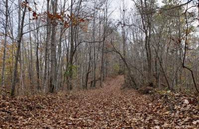 Autumn Ridge Tract 22