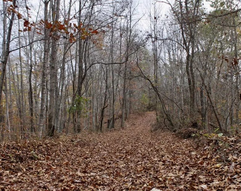Autumn Ridge Tract 22 in Leslie County, KY