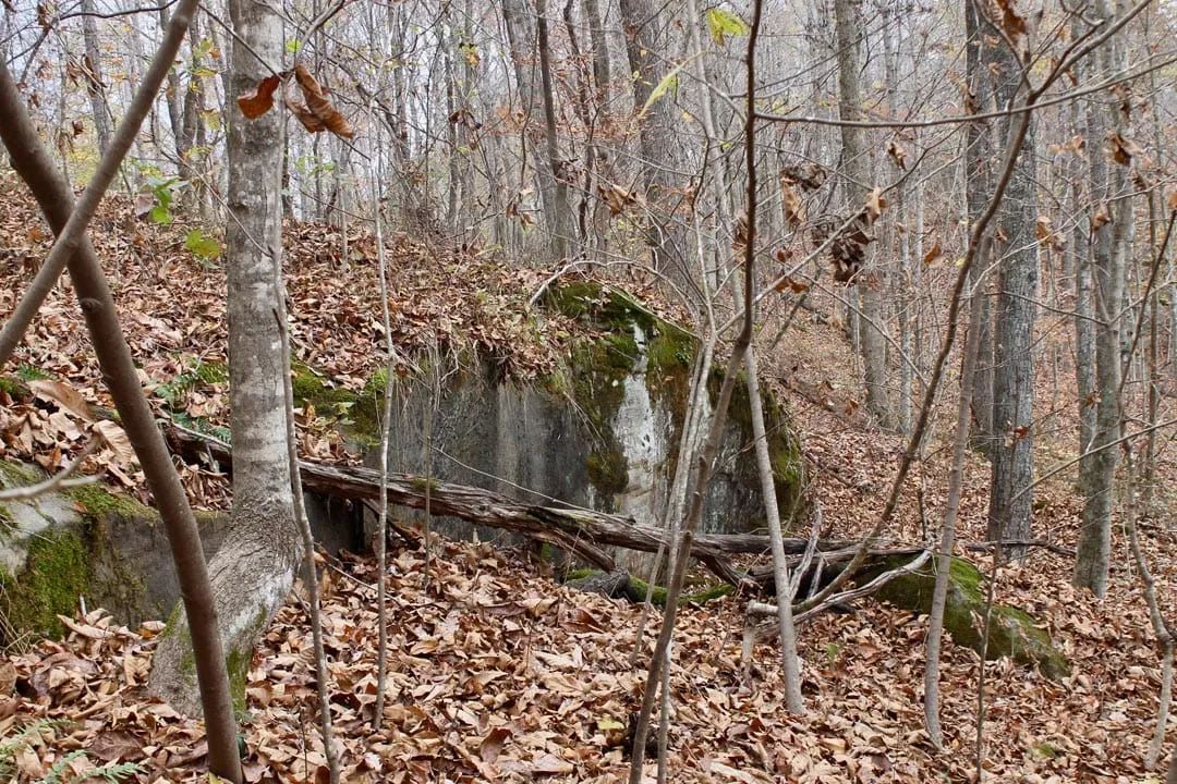 Autumn Ridge Tract 22 in Leslie County, KY