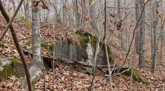 Autumn Ridge Tract 22 in Leslie County, KY