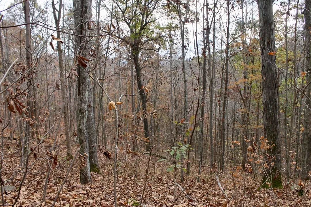 Autumn Ridge Tract 22 in Leslie County, KY