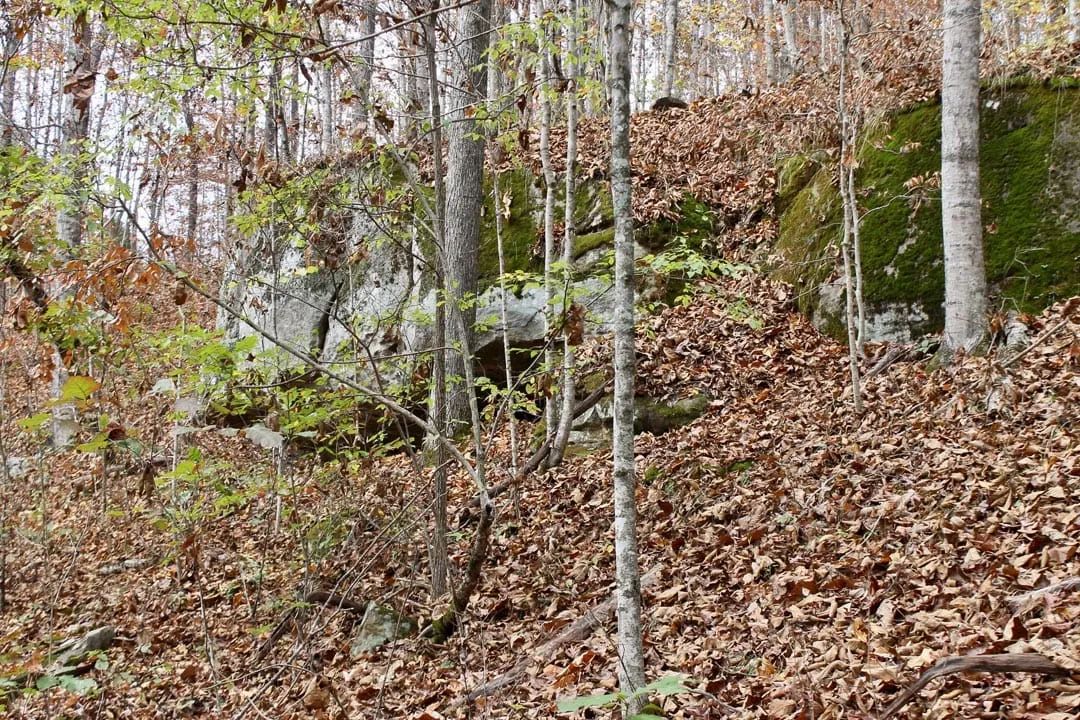 Autumn Ridge Tract 22 - Image 4