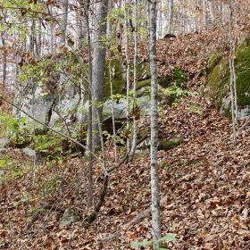 Autumn Ridge Tract 22 in Leslie County, KY