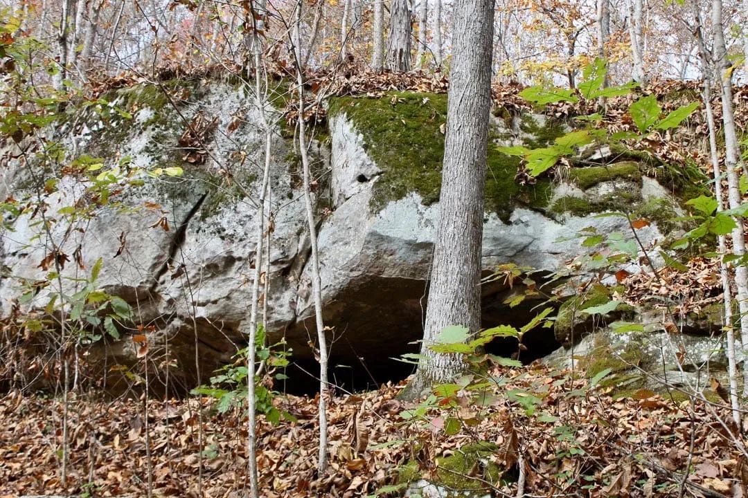 Decorative background for Autumn Ridge Tract 22 image 5