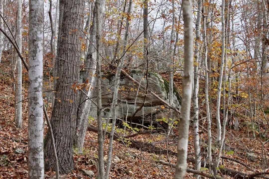 Decorative background for Autumn Ridge Tract 22 image 6