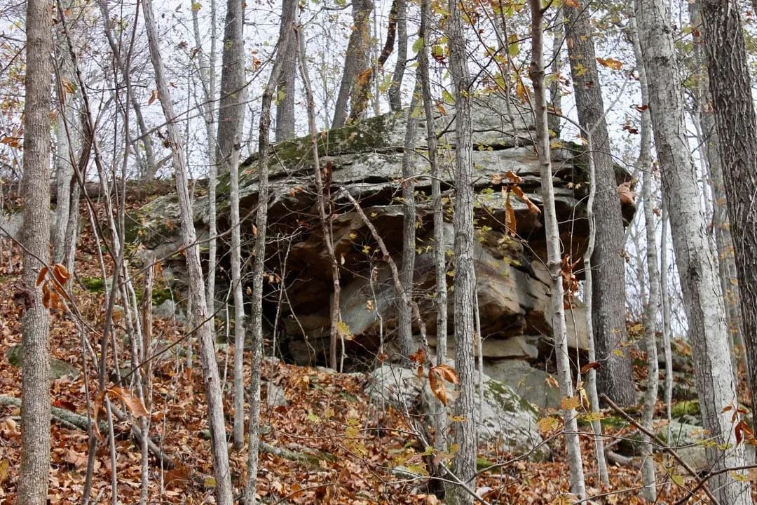 Decorative background for Autumn Ridge Tract 22 image 7