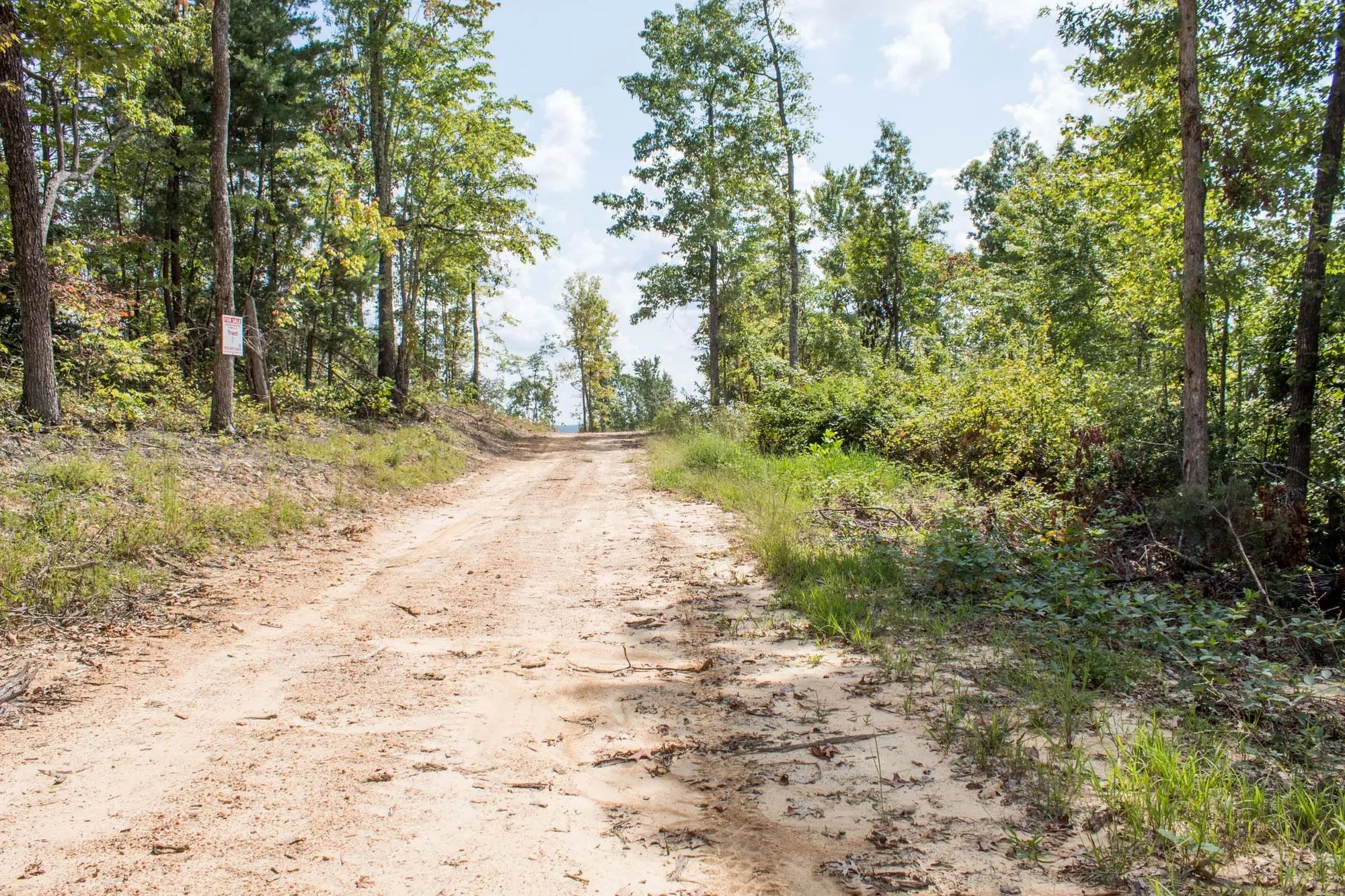 Buck Run Ridge Tract 26 in Wayne County, KY